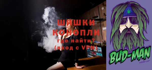 бошки Бронницы