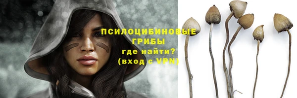 трава Покачи