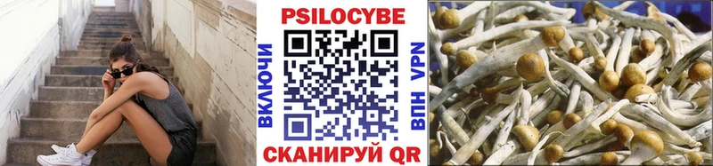 наркошоп  Мензелинск  Псилоцибиновые грибы Cubensis 