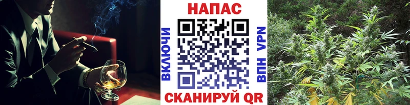 Конопля Bruce Banner  цена   Мензелинск 